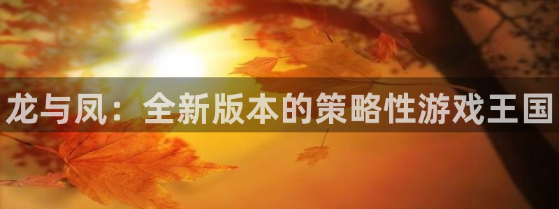 长征娱乐平台注册资金多少：龙与凤：全新版本的策略性游戏王国