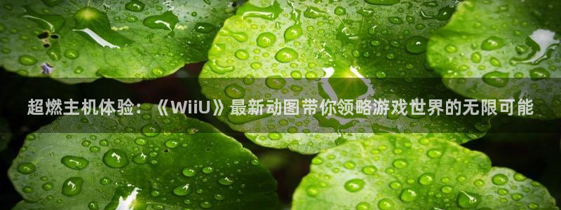 长征娱乐注册：超燃主机体验：《WiiU》最新动图带你领略游戏