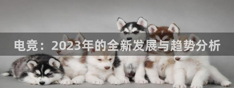 长征娱乐4招商：电竞：2023年的全新发展与趋势分析
