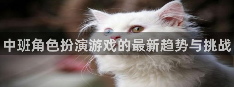 长征娱乐科技：中班角色扮演游戏的最新趋势与挑战