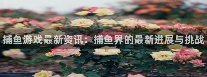 长征娱乐平台注册开户：捕鱼游戏最新资讯：捕鱼界的最新进展与挑