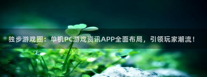 长征娱乐Ii：独步游戏圈：单机PC游戏资讯APP全面布局，引