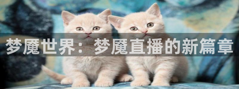 360体育免费观看直播