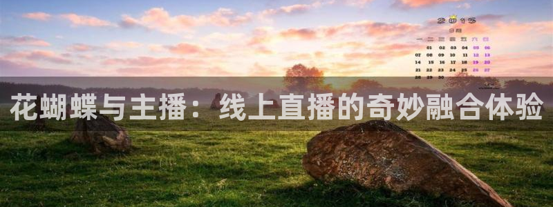 欧联杯直播360直播