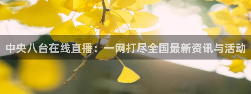 雨燕360体育足球免费直播