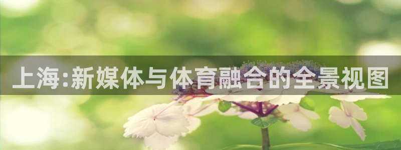 360雨燕免费直播