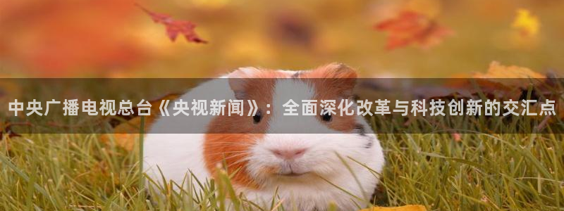 360体育直播免费观看：中央广播电视总台《央视新闻》：全面深化改革与科技创新的交汇点