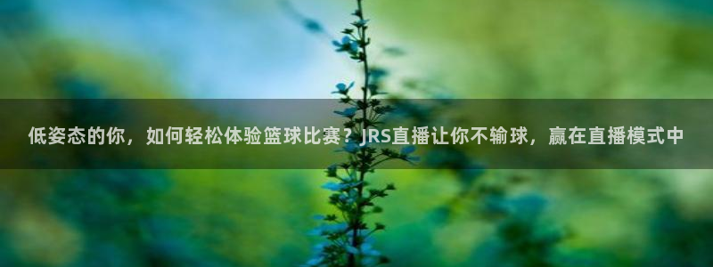 雨燕360体育直播在线观看：低姿态的你，如何轻松体验篮球比赛？JRS直播让你不输球，赢在直播模式中